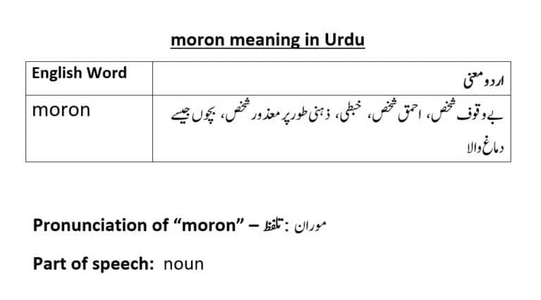 moron meaning in Urdu