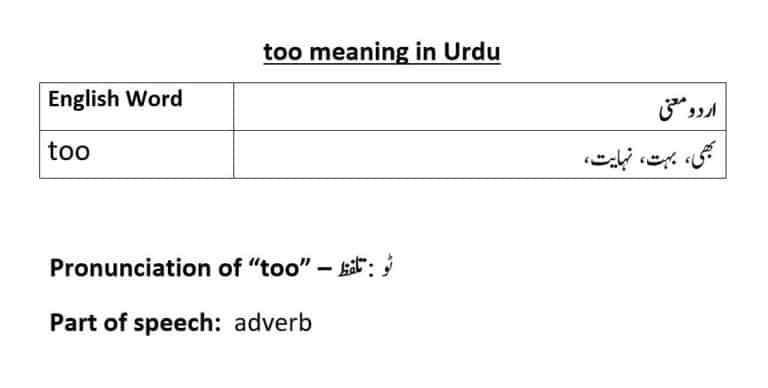 too meaning in Urdu