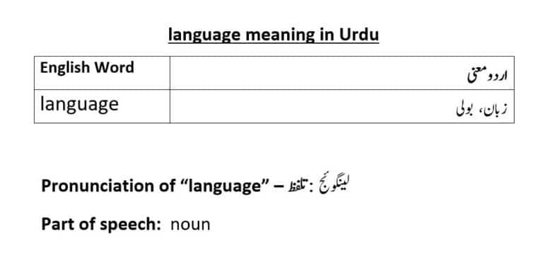 language meaning in Urdu