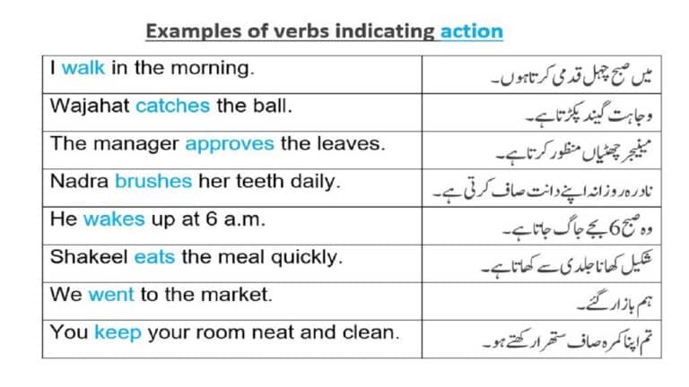 What is an action verb explained in Urdu