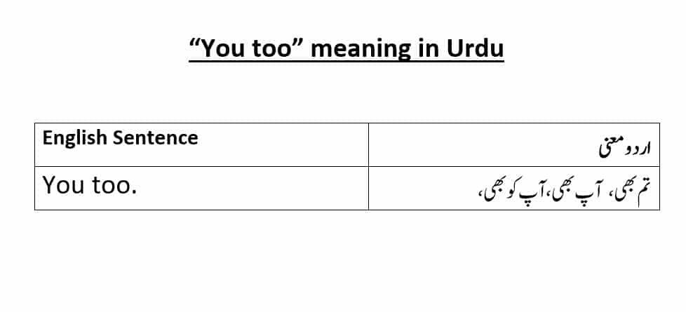 You Too Meaning In Urdu