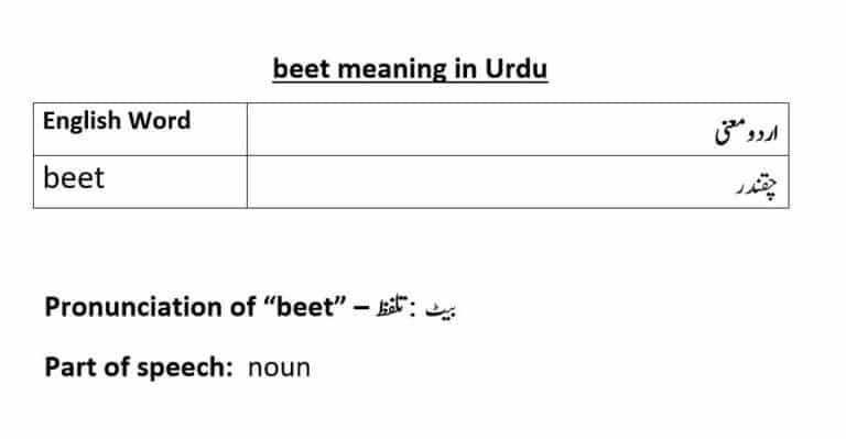 beet meaning in Urdu