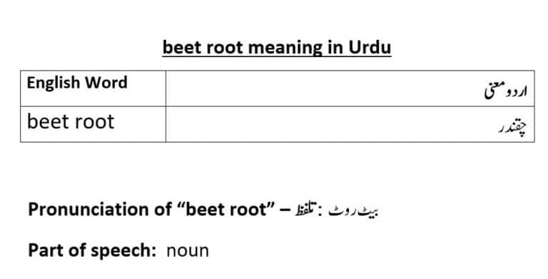 beet root meaning in Urdu