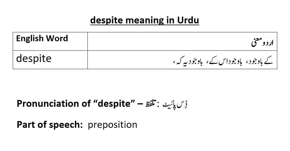 despite meaning in Urdu with examples and pronunciation