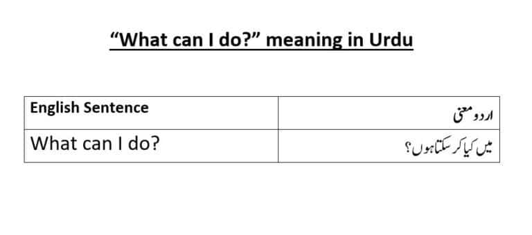 What can I do meaning in Urdu