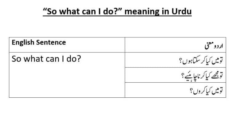 so what can I do meaning in Urdu