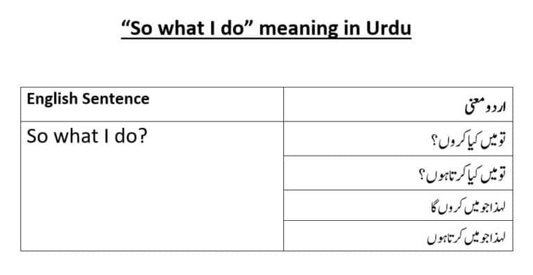 So what I do meaning in Urdu.