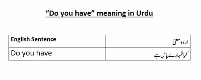 Do you have meaning in Urdu