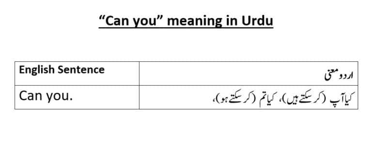 Can you meaning in Urdu
