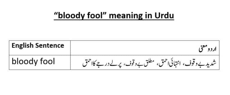 bloody fool meaning in Urdu