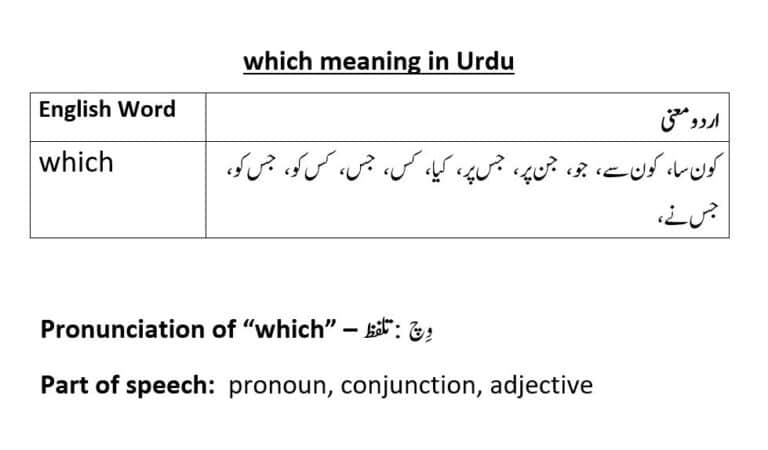 which meaning in Urdu