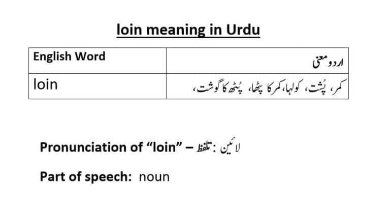 loin meaning in Urdu