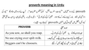 proverb meaning in Urdu from difference between idiom and proverb